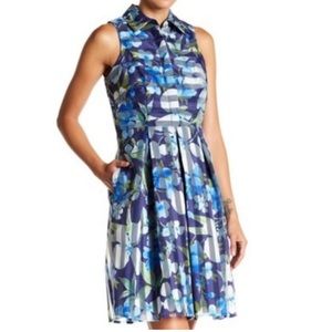NWT Sandra Darren Sleeveless Floral Striped Pattern Dress Pleated Size 6